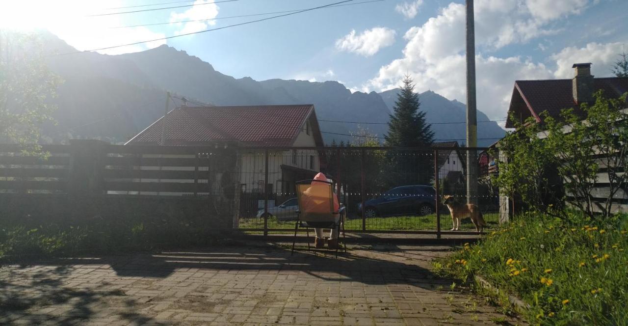Poiana Dintre Brazi Chalet, Bucegi Panorama Sinaia Exterior foto